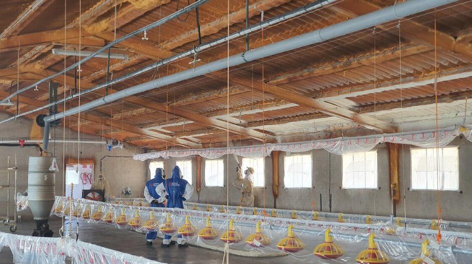 Izolacija kokošinjca kanadskom penom – rešavanje kondenzacije i pregrevanja