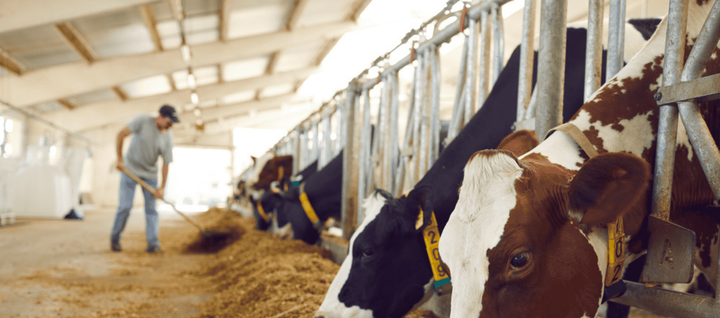 Izolacija poljoprivrednih objekata